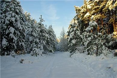 《铁拳8》与《铁拳7》画面对比视频 美女更逼真